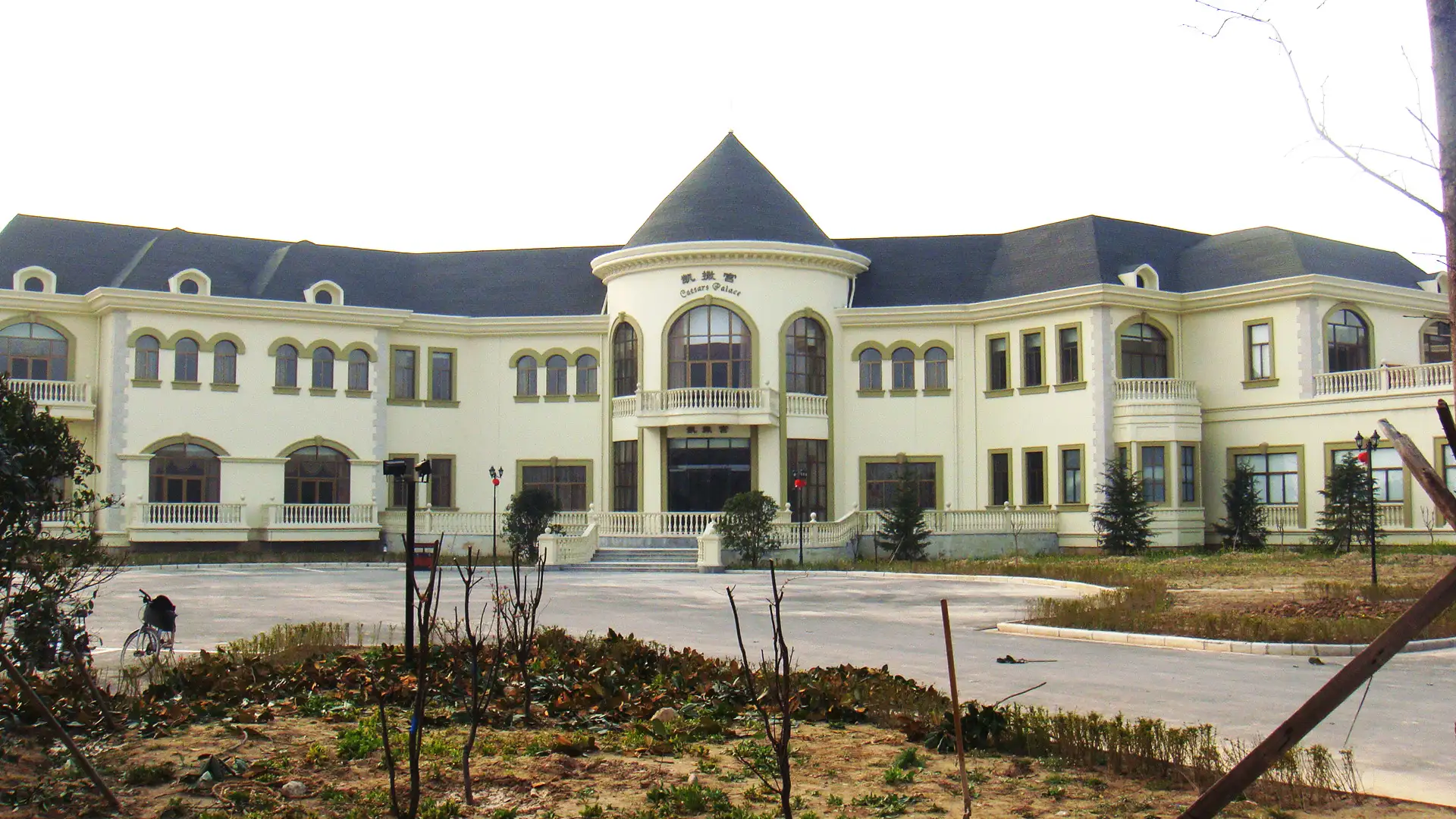 Case 31